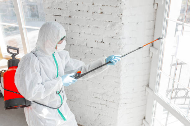 Asbestos and Lead Testing During Mold Inspection in Freeport, FL