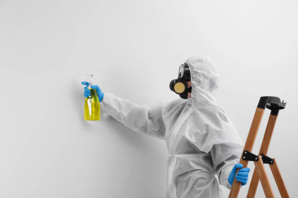 Trusted Freeport, FL Mold Removal & Remediation Experts