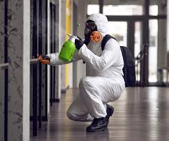 Best Forensic Mold Investigation  in Freeport, FL